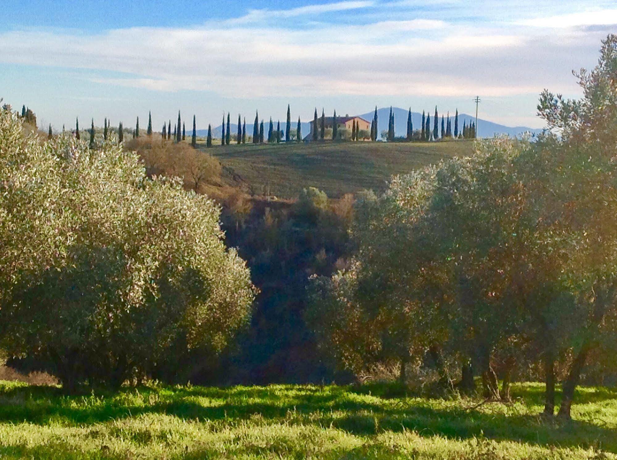 Podere Fornaci Asciano Buitenkant foto